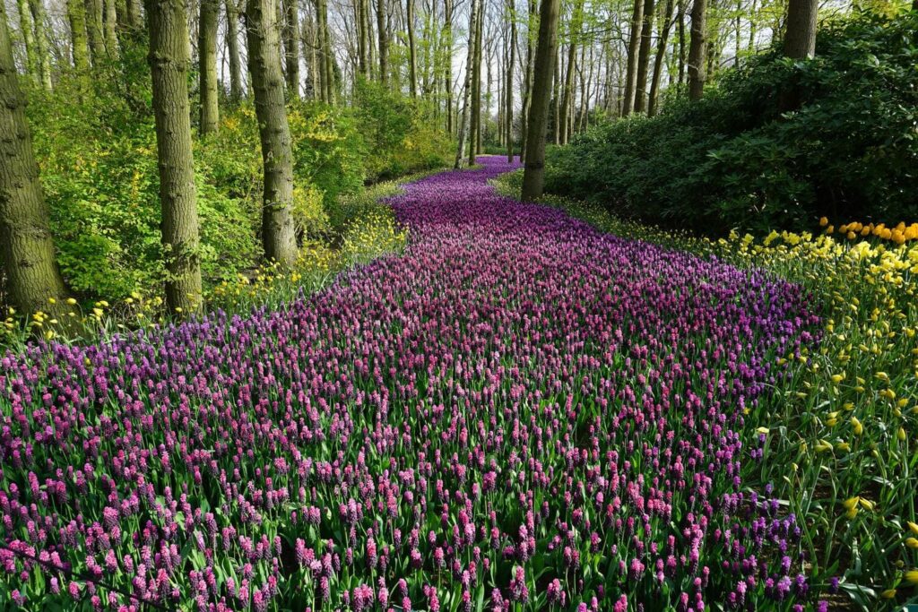 Preparing Your Business for Spring Momentum Without Increasing Owner Stress